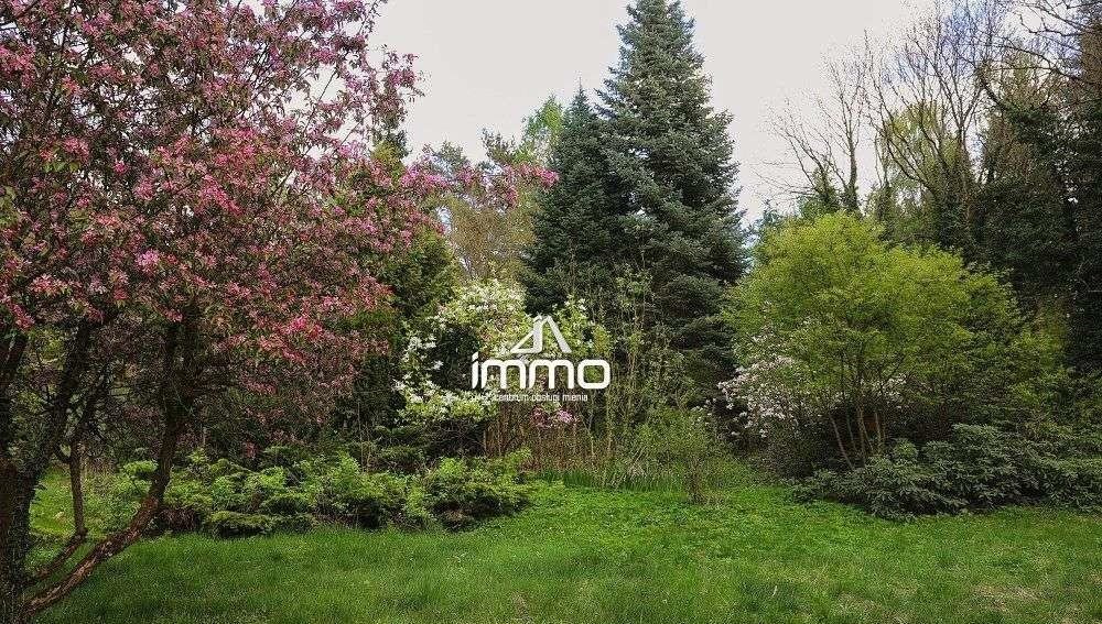 Działka budowlana 2,4 ha w otoczeniu lasów i wzgórz Turze  2 447m2 Foto 1