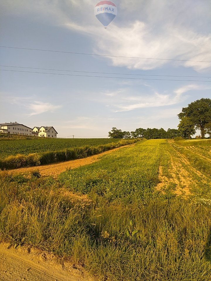 Działka siedliskowa na sprzedaż Stręgoborzyce  3 200m2 Foto 4