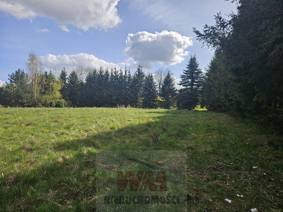 Działka budowlana na sprzedaż Pniewy  29 501m2 Foto 3