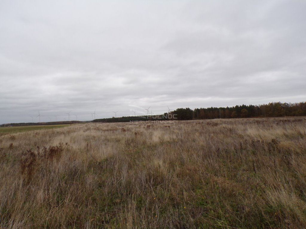 Działka budowlana na sprzedaż Głobino, Główna  1 000m2 Foto 7