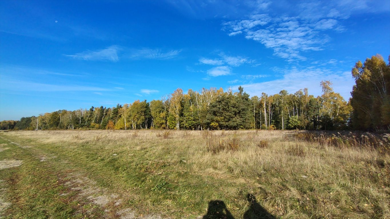 Działka budowlana na sprzedaż Brzozowica, Brzozowica  830m2 Foto 8