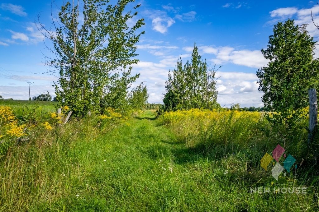 Działka budowlana na sprzedaż Tałty  169 500m2 Foto 14