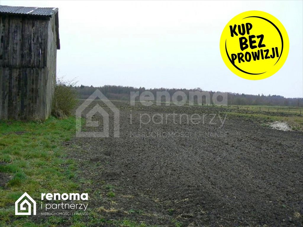 Działka siedliskowa na sprzedaż Sińczyca  10 400m2 Foto 5