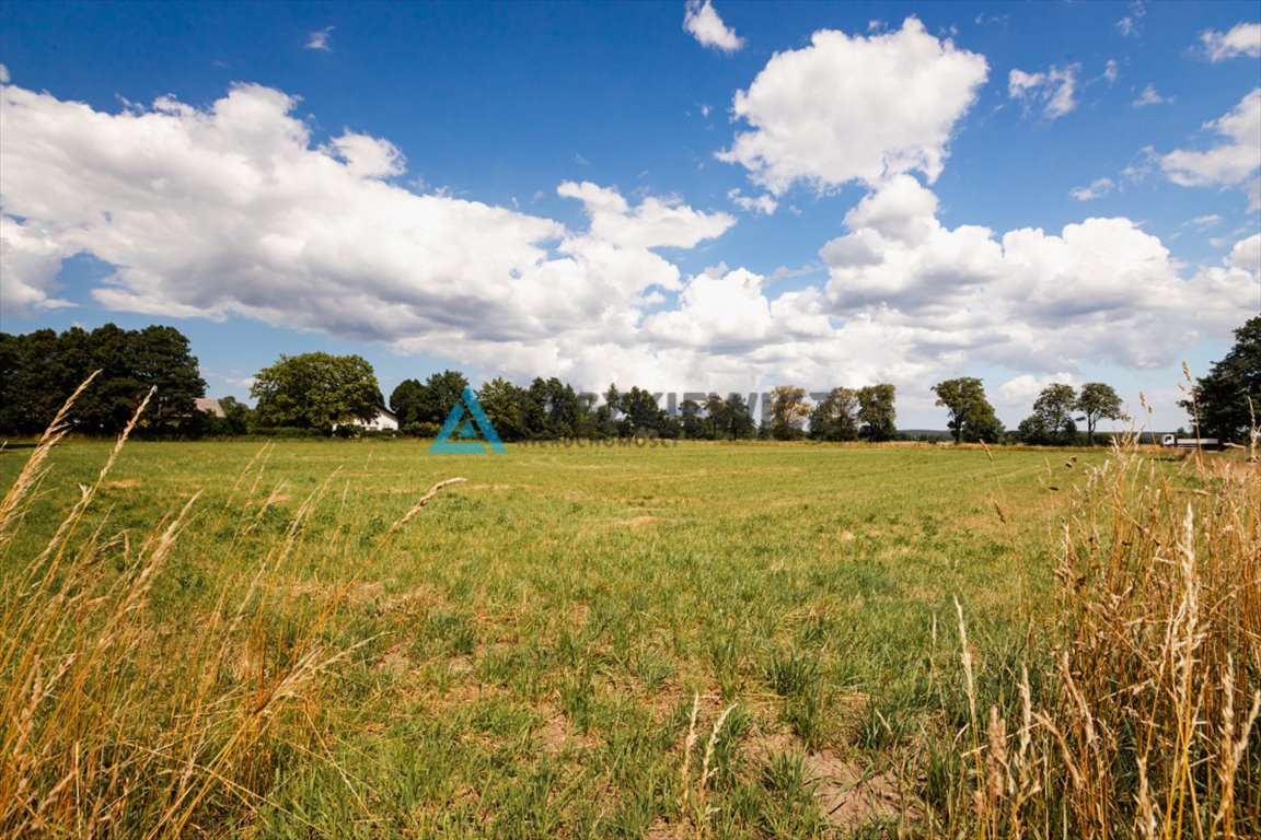 Działka budowlana na sprzedaż Kniewo, Radosna  4 412m2 Foto 9