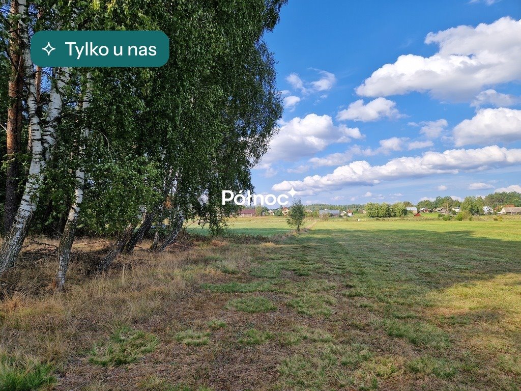 Działka leśna 3776 m² w Krynickich – spokój i naturę Krynickie  3 776m2 Foto 1