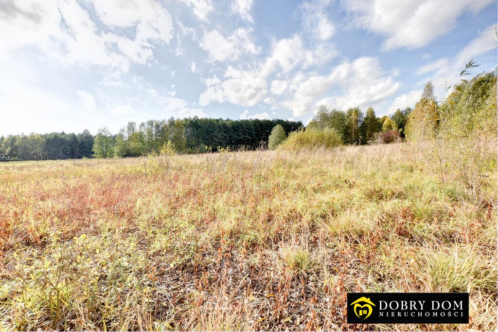 Działka budowlana na sprzedaż Hryniewicze  1 000m2 Foto 1