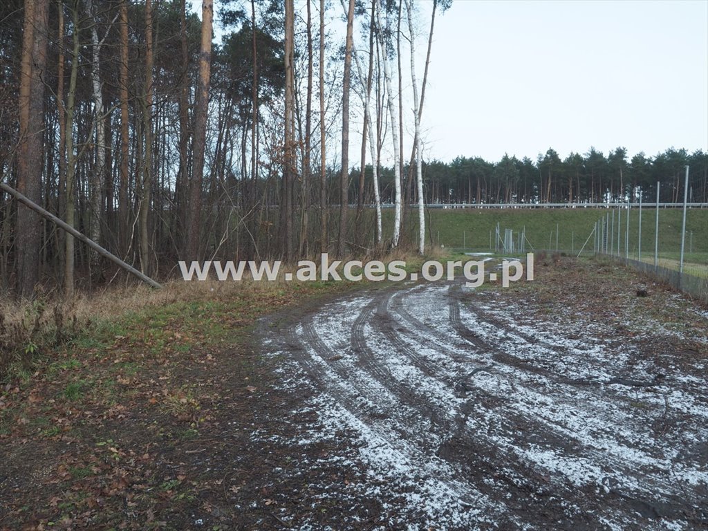 Działka budowlana na sprzedaż Emów  13 200m2 Foto 6