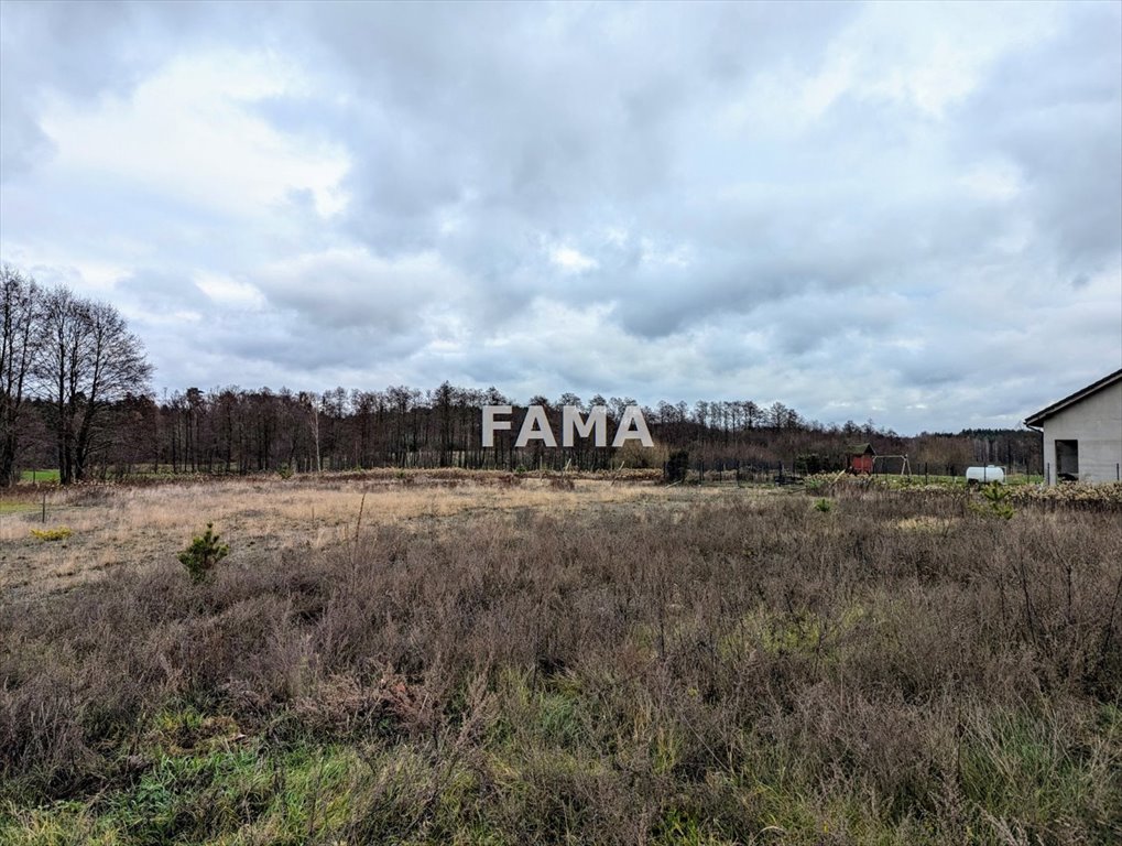 Działka budowlana na sprzedaż Osiek  1 327m2 Foto 3