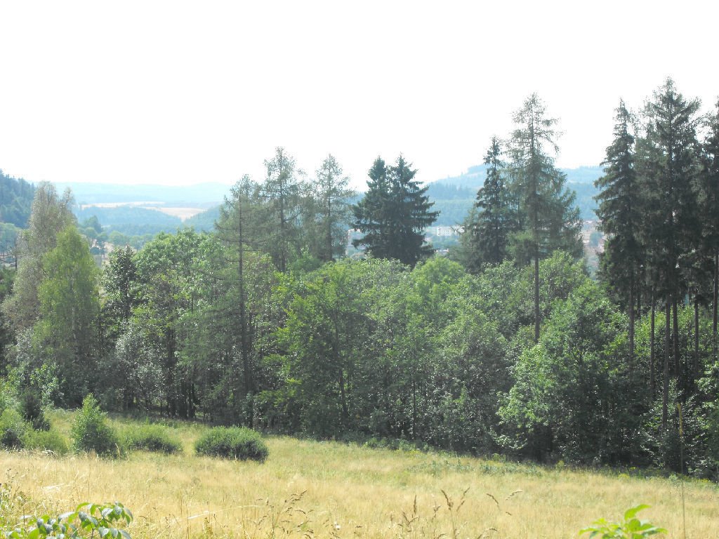 Działka inna na sprzedaż Boguszów-Gorce  80 000m2 Foto 2