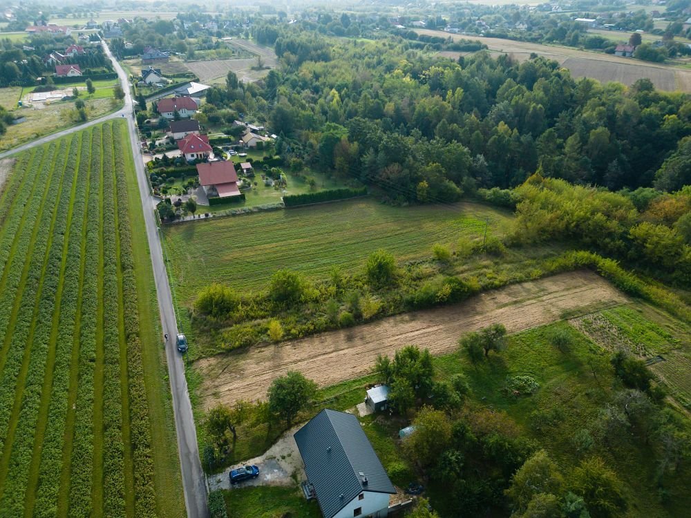 Działka inna na sprzedaż Szewna, Woźniakówka 36  1 600m2 Foto 6