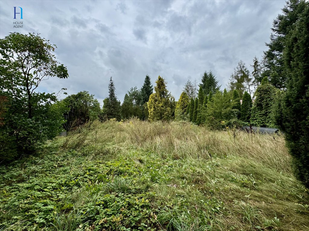 Działka budowlana na sprzedaż Kazimierz, Spacerowa  1 380m2 Foto 4