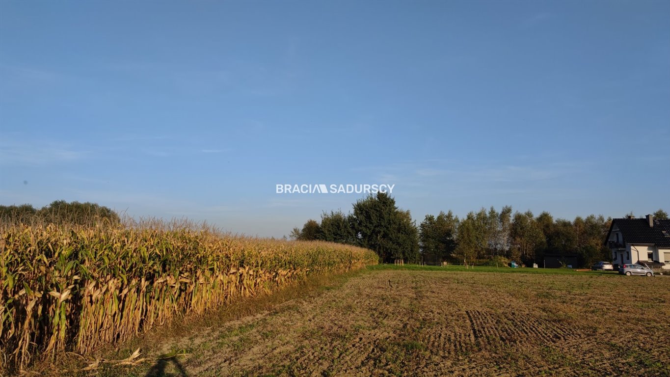 Działka budowlana na sprzedaż Wołowice  2 500m2 Foto 9