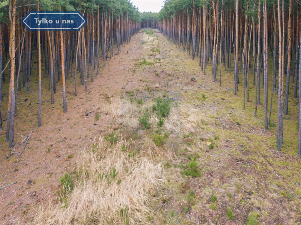 Działka budowlana na sprzedaż Staromieście  4 400m2 Foto 4