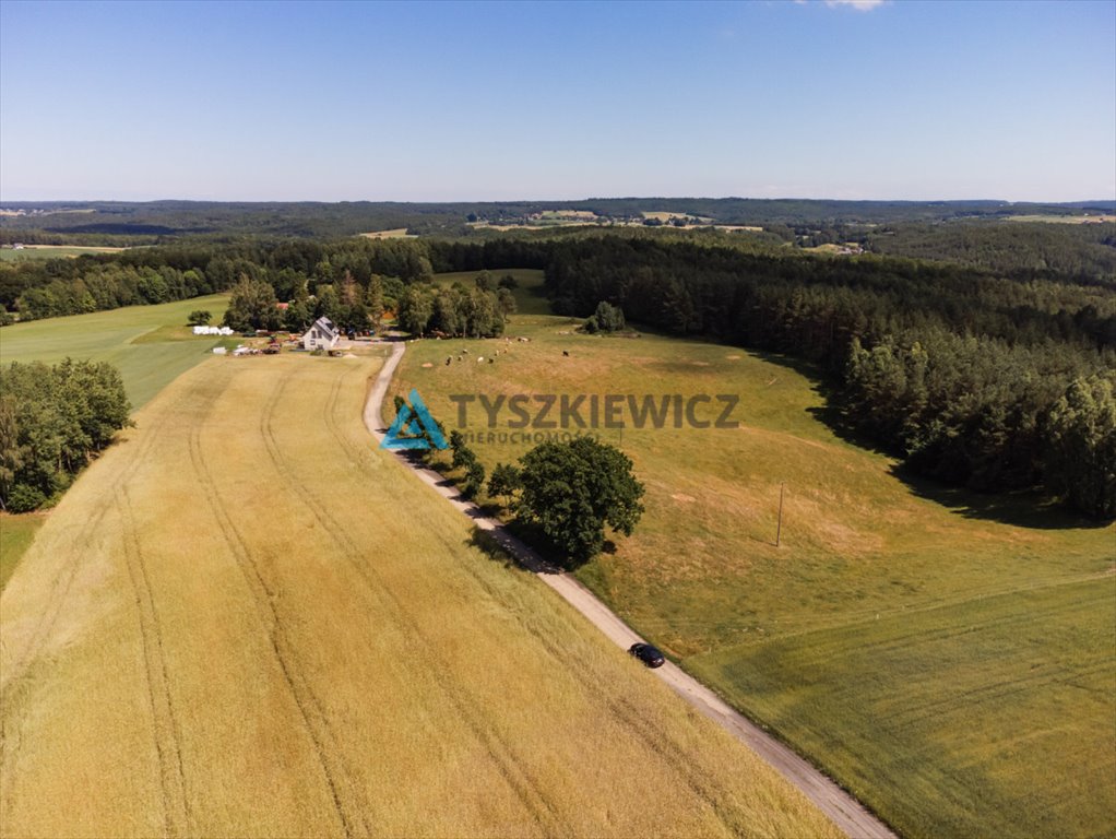 Działka siedliskowa na sprzedaż Milwino, Rolnicza  3 111m2 Foto 6