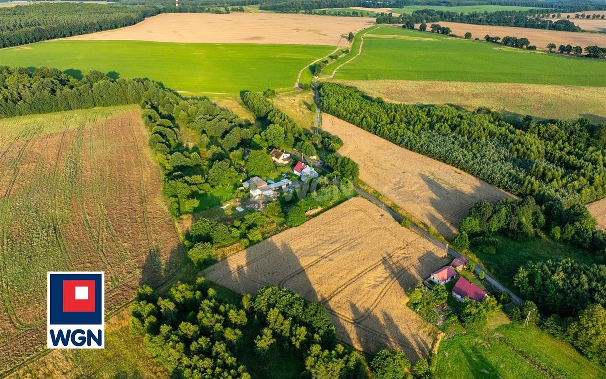 Działka siedliskowa na sprzedaż Dargoleza, Dargoleza  4 520m2 Foto 10