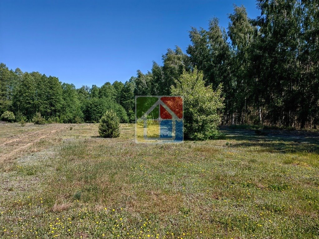 Działka budowlana na sprzedaż Szczawin Kościelny  1 025m2 Foto 4