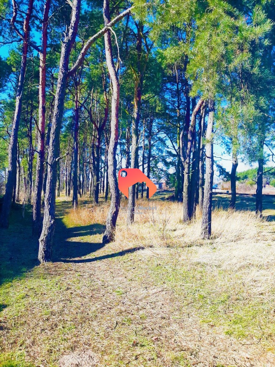 Działka 2412 m2 z warunkami zabudowy i dostępem do mediów Zamość  2 412m2 Foto 1