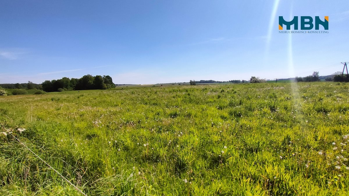 Działka rolna na sprzedaż Węgorzewo, Rudziszki  21 800m2 Foto 13