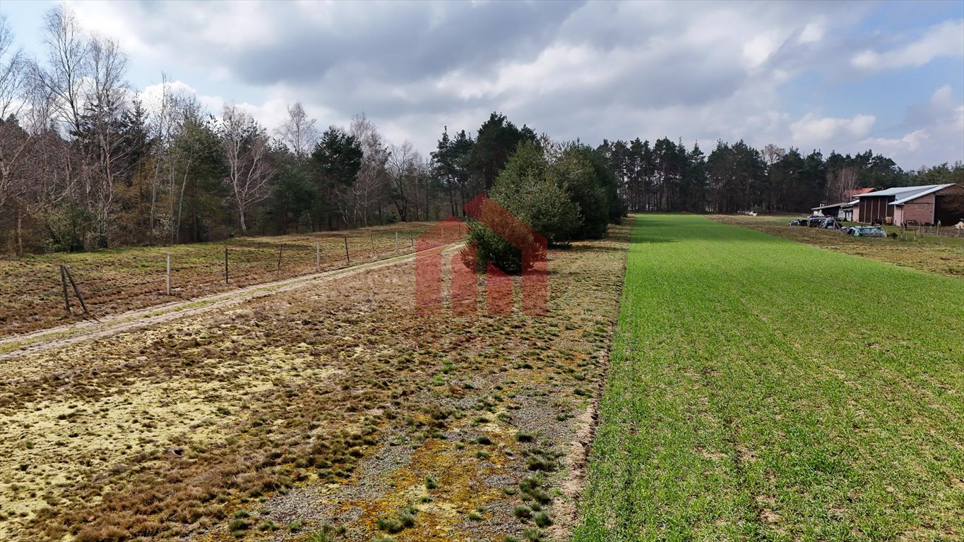 Działka 443 m2 z potencjałem rekreacyjnym w Czarna Sędziszowska Czarna Sędziszowska  443m2 Foto 1