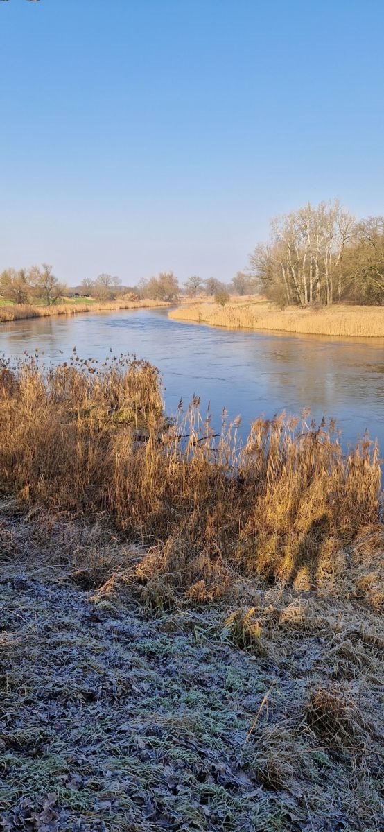Działka budowlana na sprzedaż Baranowo  1 531m2 Foto 1