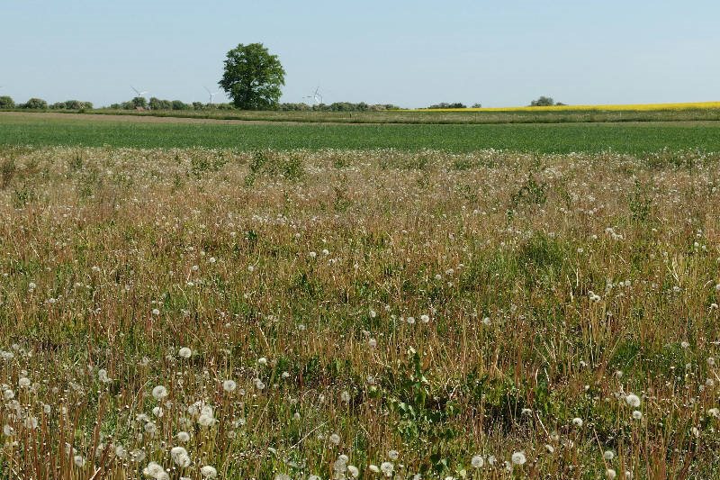 Działka budowlana na sprzedaż Darzlubie  834m2 Foto 2