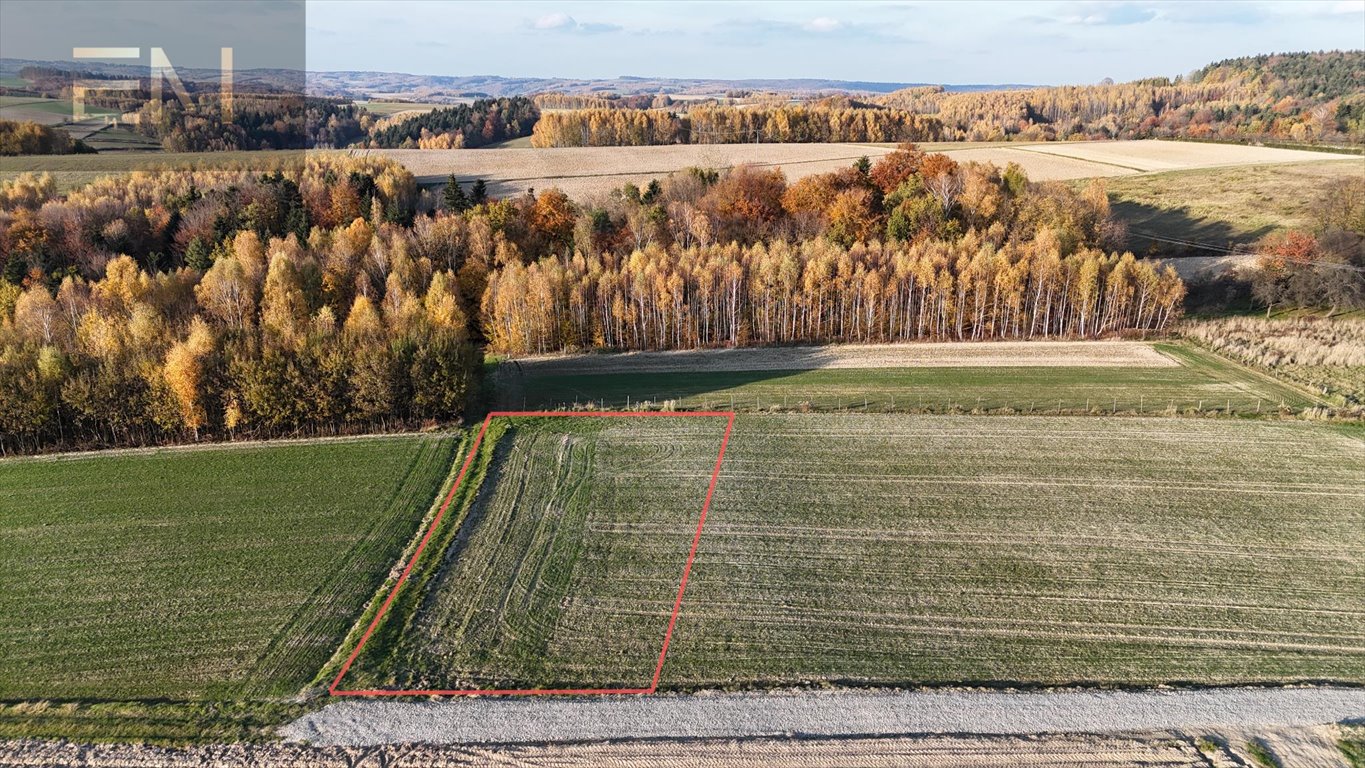 Działka budowlana na sprzedaż Tropie  1 391m2 Foto 3