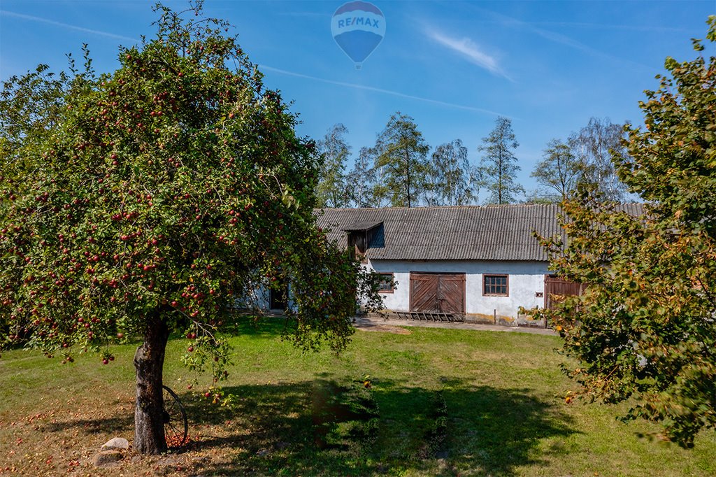 Dom na sprzedaż Wodzin Majoracki, Okupniki  60m2 Foto 6