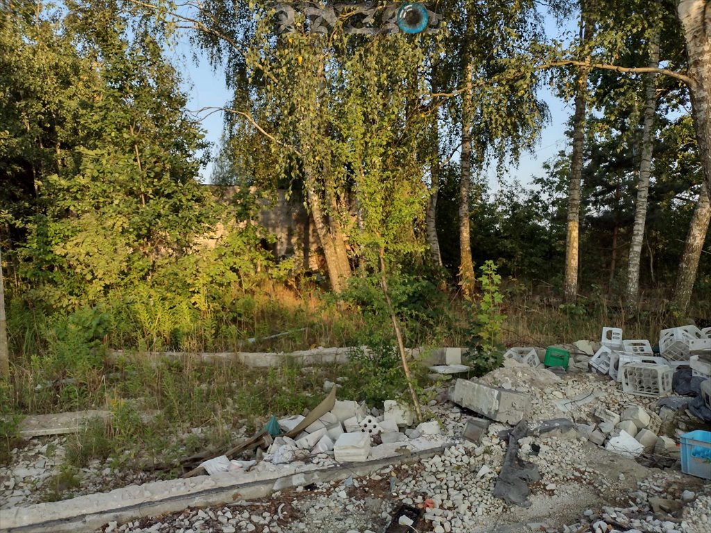 Działka budowlana na sprzedaż Góraszka, Góraszka, Dębowa  2 200m2 Foto 14