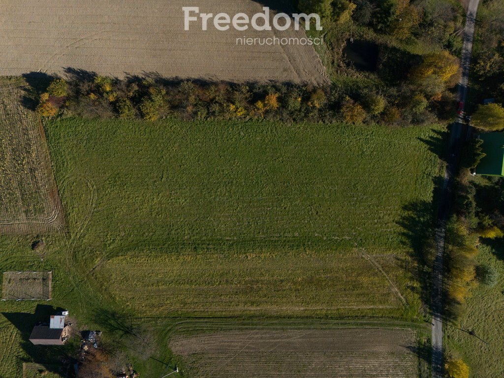 Działka budowlana na sprzedaż Raciechowice  4 600m2 Foto 10