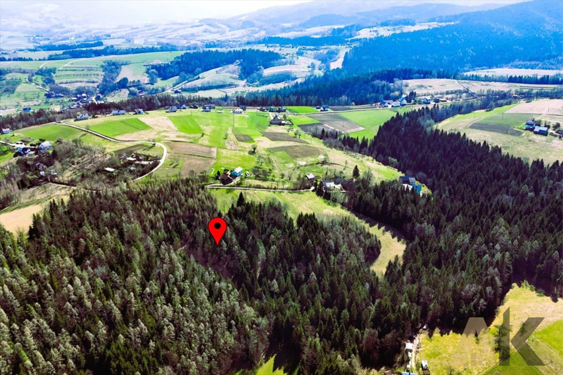 Działka leśna na sprzedaż Gaboń  18 900m2 Foto 1