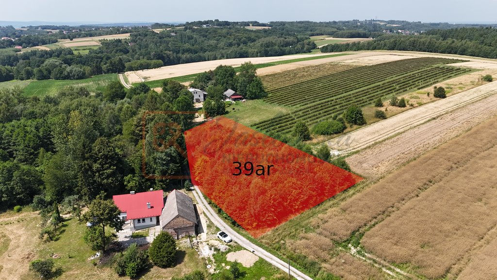 Działka budowlana na sprzedaż Wola Rafałowska  3 900m2 Foto 1