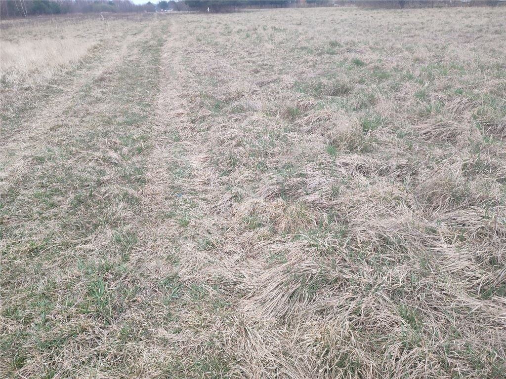 Działka budowlana 1140 m² w Ruscu, cicha i piękna okolica Rusiec  1 140m2 Foto 1