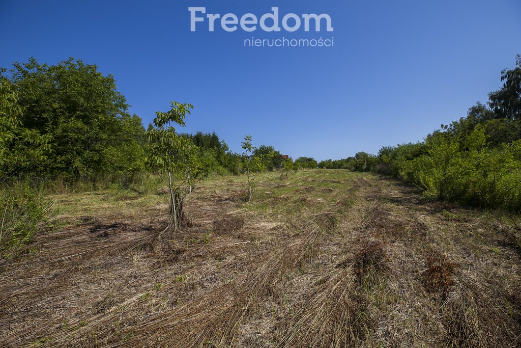 Działka budowlana na sprzedaż Rzeszów, Staroniwa, Staroniwska  9 077m2 Foto 7