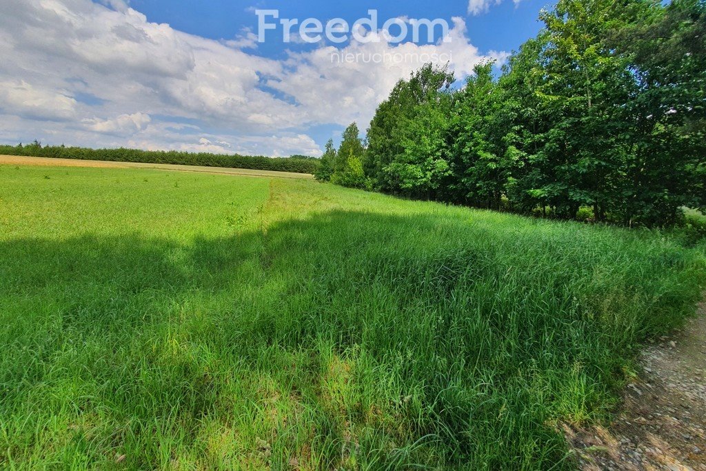 Działka inna na sprzedaż Kruszyna  25 167m2 Foto 1