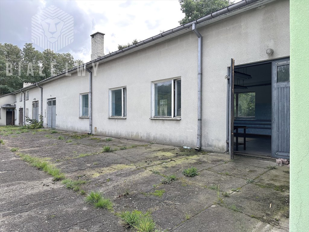 Polecam funkcjonalny obiekt 800 m² z halą i biurem w Mrozach Mrozy  800m2 Foto 1