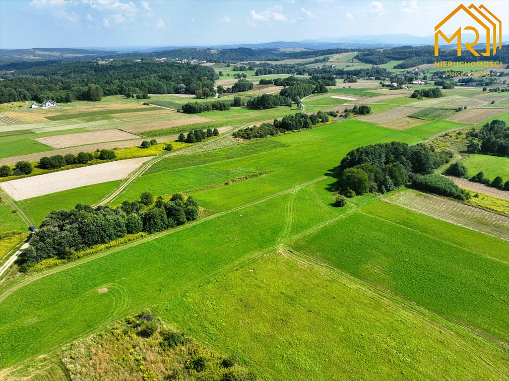 Działka inna na sprzedaż Szerzyny  10 100m2 Foto 7