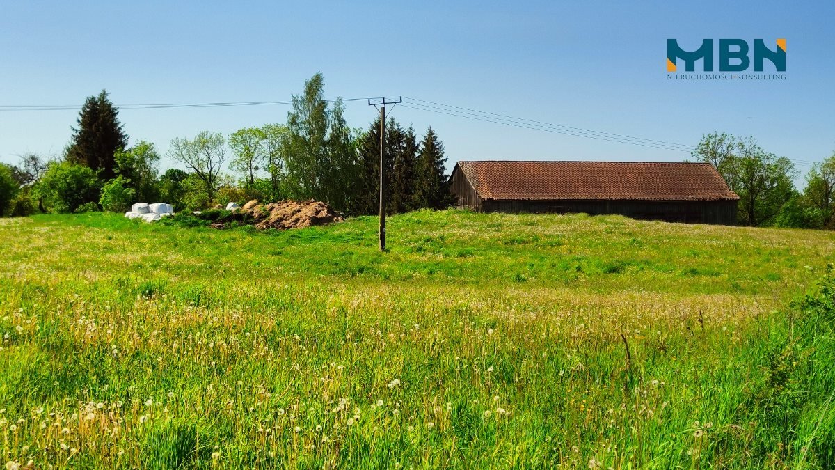 Działka rolna na sprzedaż Węgorzewo, Rudziszki  21 800m2 Foto 12