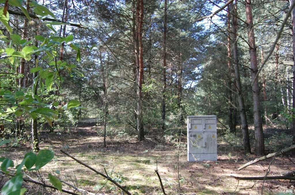 Działka budowlana 1554 m² z warunkami zabudowy, cisza i spokój Dzierżązna  1 554m2 Foto 1