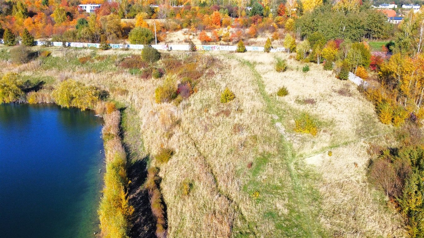 Działka inwestycyjna na sprzedaż Częstochowa, Kawodrza Dolna  10 766m2 Foto 4