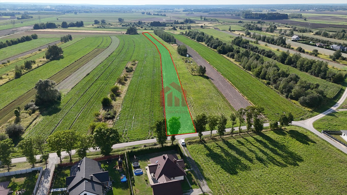 Działka budowlana na sprzedaż Świlcza  7 300m2 Foto 2