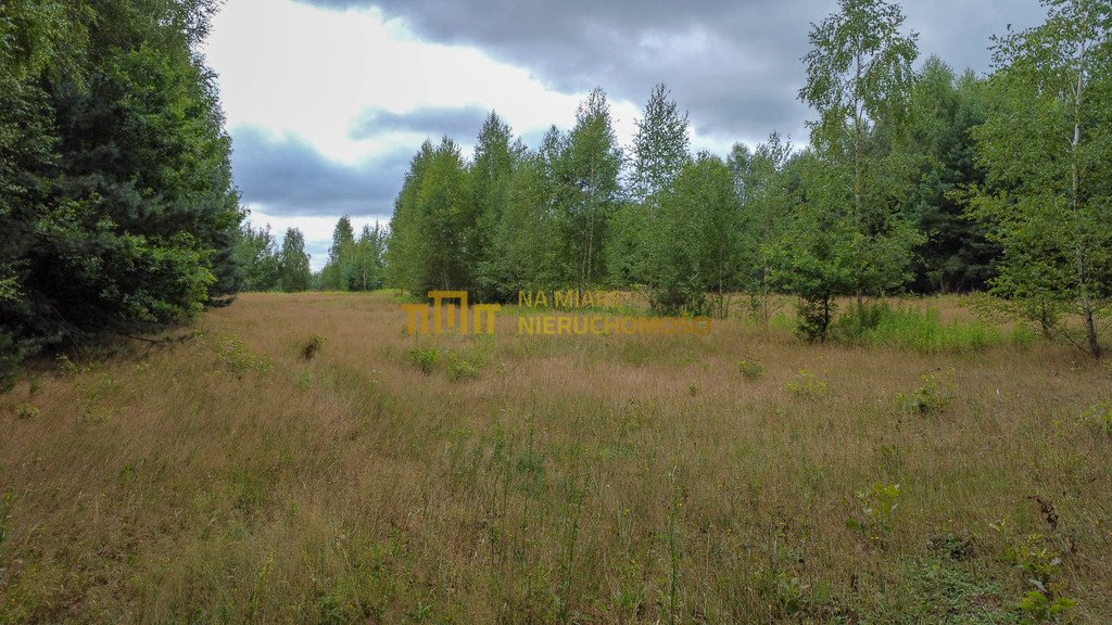 Działka budowlana na sprzedaż Kłoda, Leśna  1 808m2 Foto 9