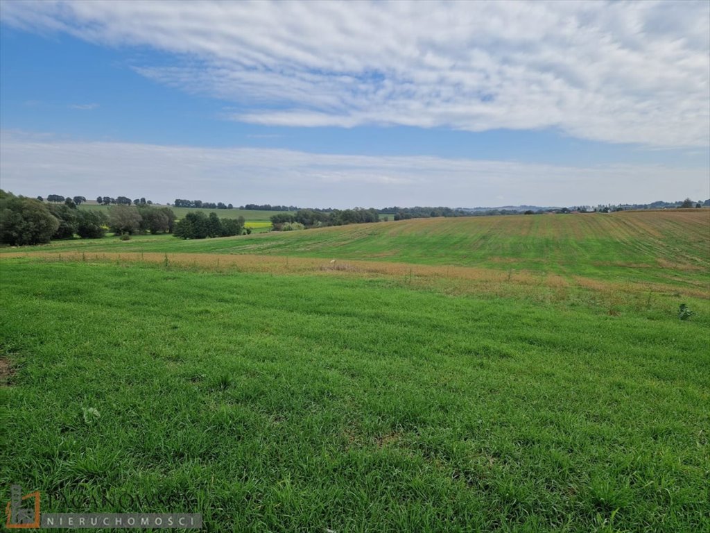 Działka budowlana na sprzedaż Wilków  785m2 Foto 6