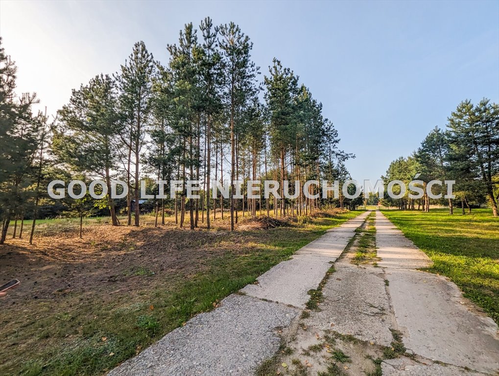 Lokal użytkowy na sprzedaż Wysoka Głogowska  36 300m2 Foto 11