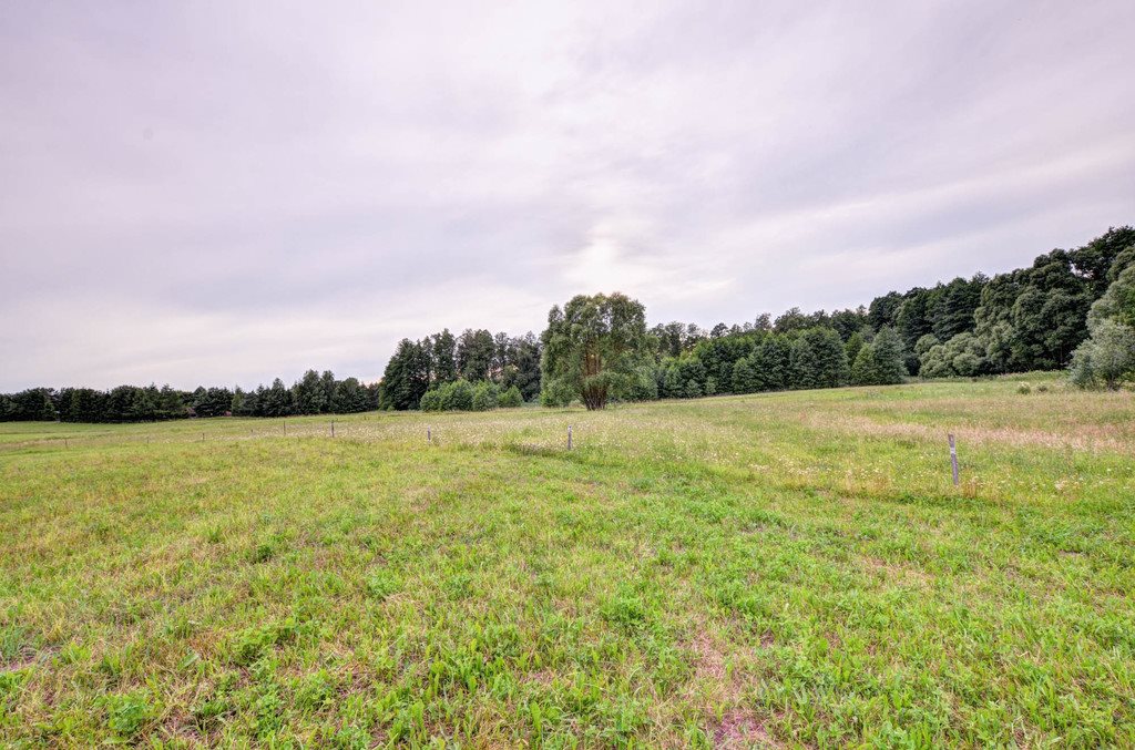 Działka budowlana na sprzedaż Przerośl  3 500m2 Foto 5