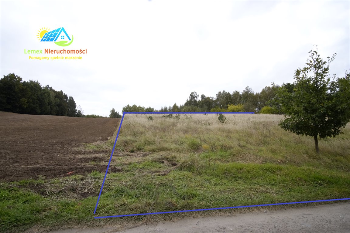 Działka budowlana na sprzedaż Myślibórz, Dąbrowa  3 093m2 Foto 1