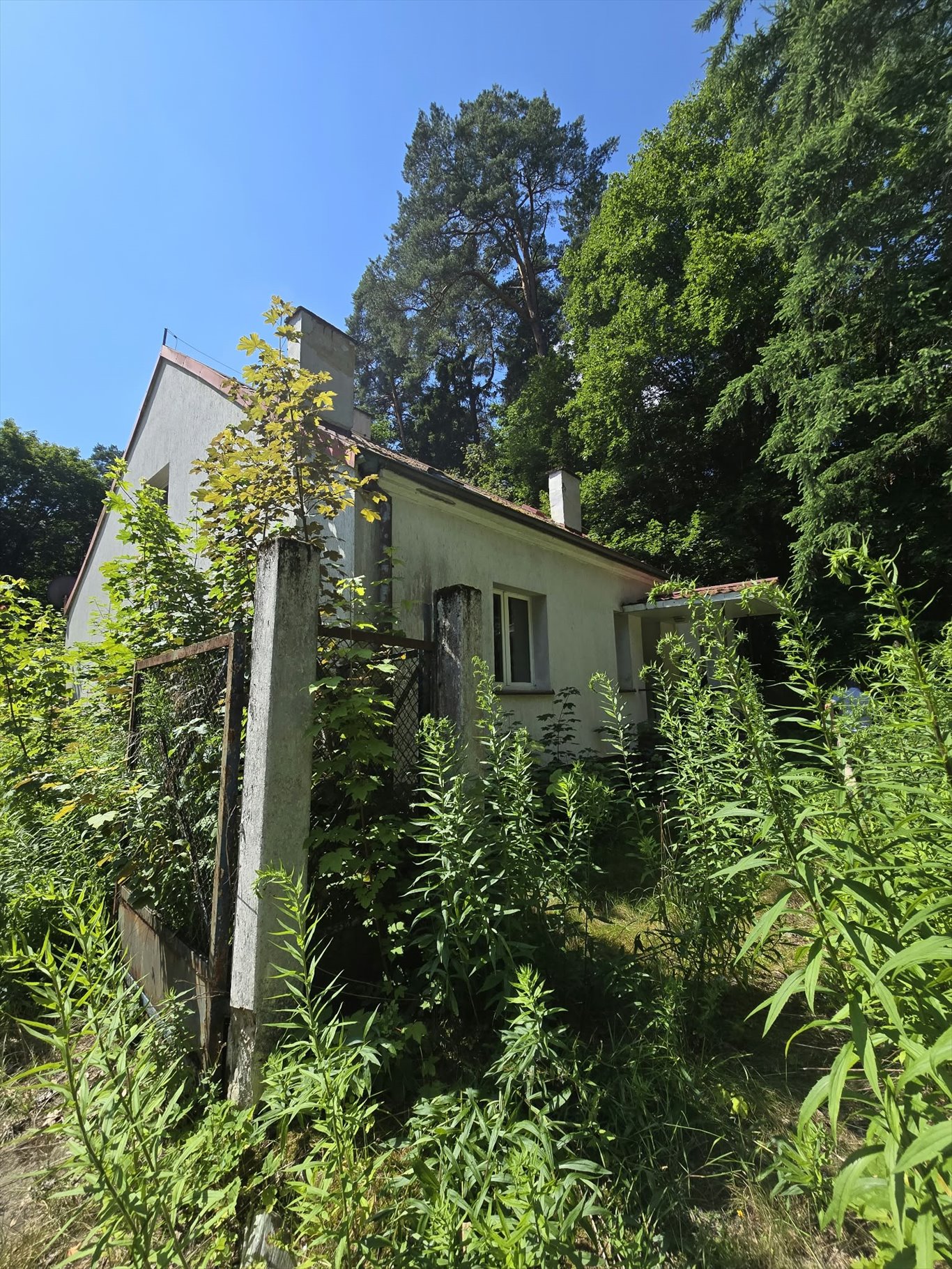 Zapraszam do obejrzenia domu 304 m² z piwnicą i 5 pokojami w Olsztynie Olsztyn  304m2 Foto 1