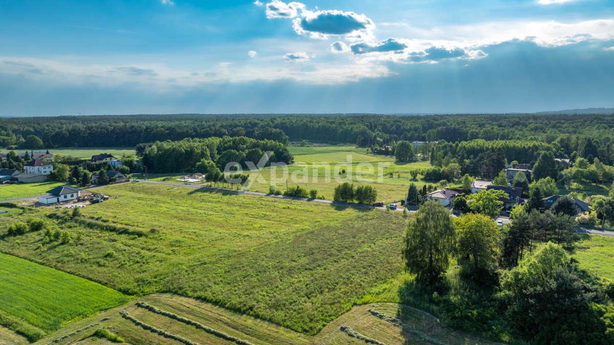 Działka budowlana na sprzedaż Orzesze, Zawiść, Łąkowa  5 820m2 Foto 11