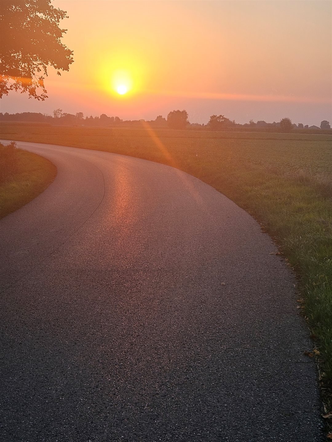 Działka rolna na sprzedaż Wola Batorska  3 000m2 Foto 3