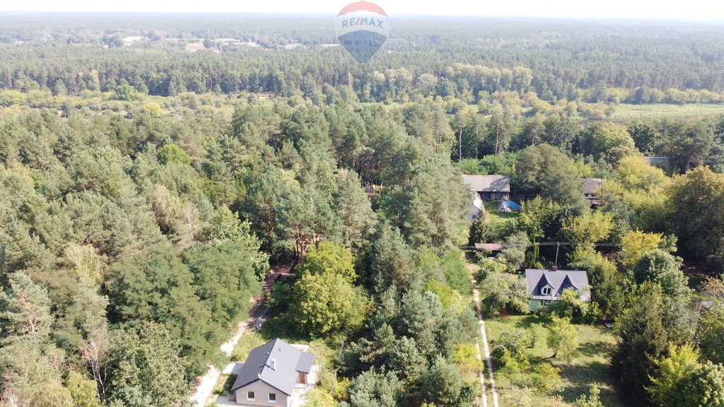 Działka budowlana na sprzedaż Paulinowo, Królowej Bony  5 000m2 Foto 4