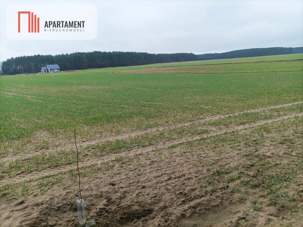 Działka budowlana na sprzedaż Borówno  1 831m2 Foto 3